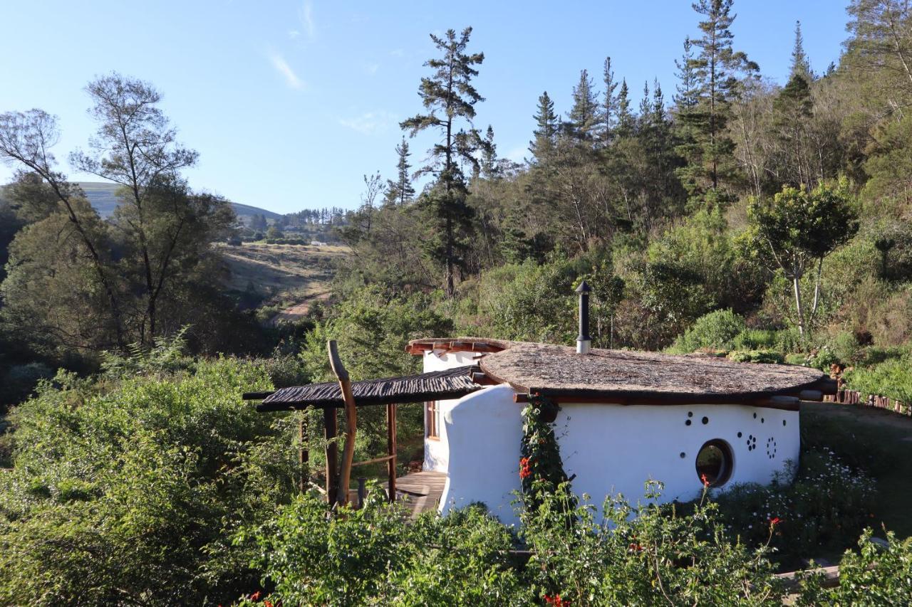 Half Moon Hollow Eco Cottage Mossel Bay Exterior photo