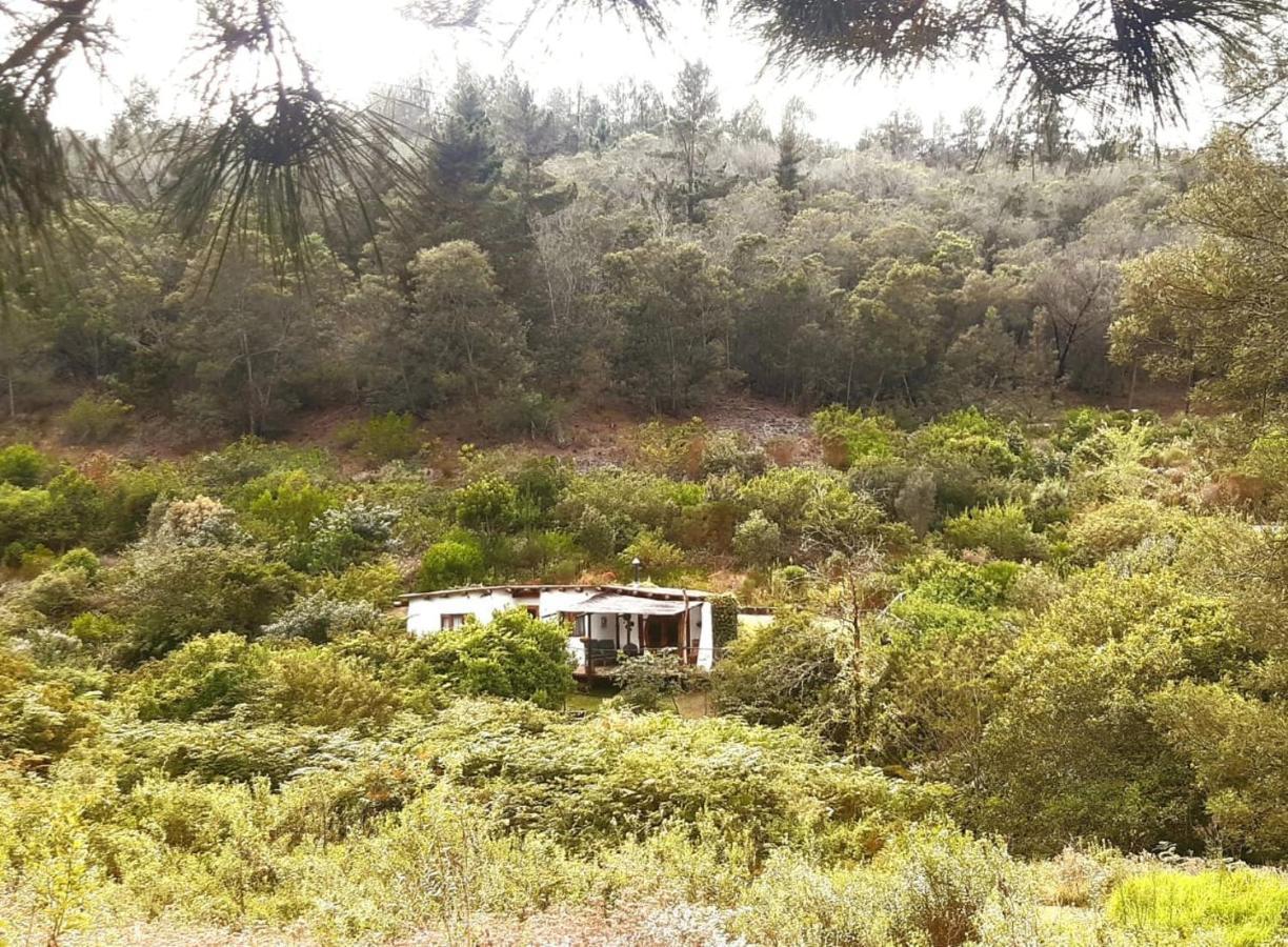 Half Moon Hollow Eco Cottage Mossel Bay Exterior photo